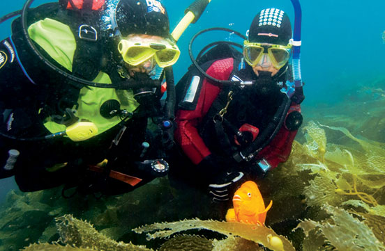 Checking the fish durning a dive