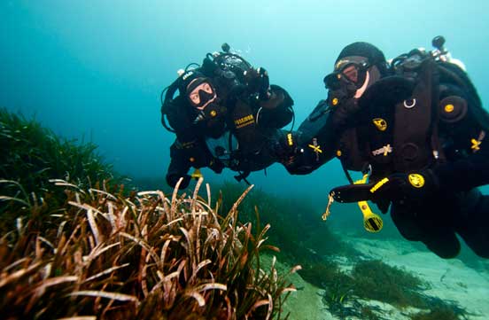 Tec Diving a Reef