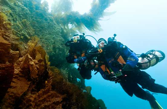 Tec Diving a Reef