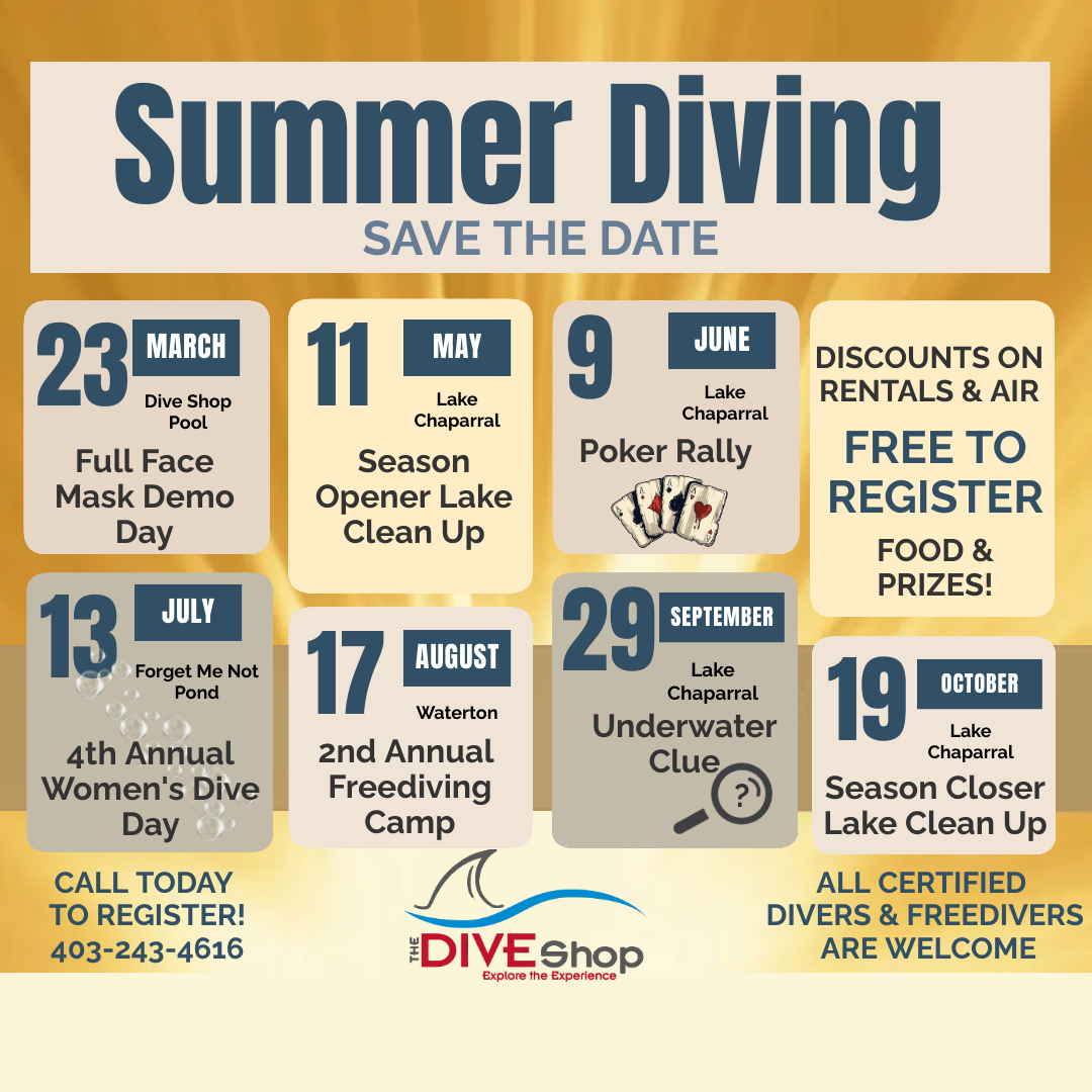 Summer Diving Schedule